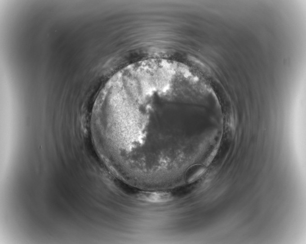 X0000084560663200703161705