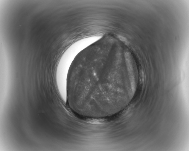 X0000084560664200703161705