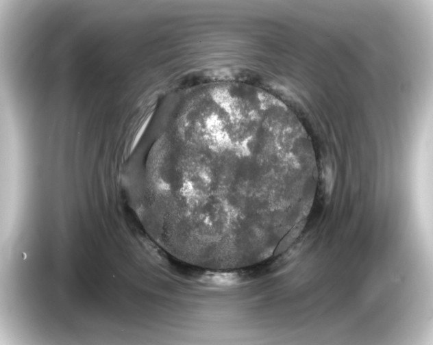 X0000084560665200703161705