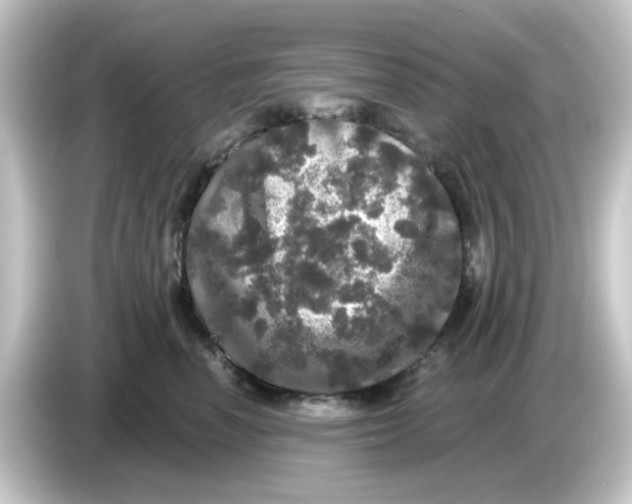 X0000084560666200703161705