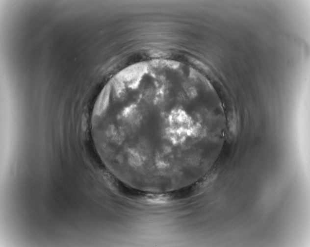 X0000084560667200703161705