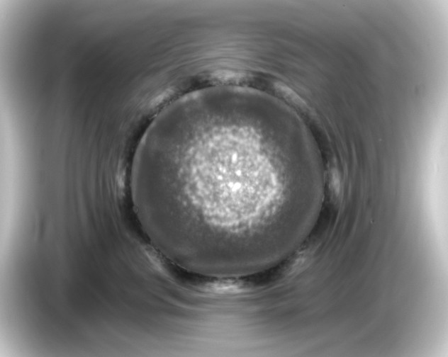 X0000084560668200703161705