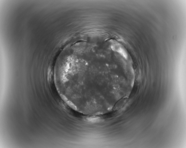 X0000084560669200703161705