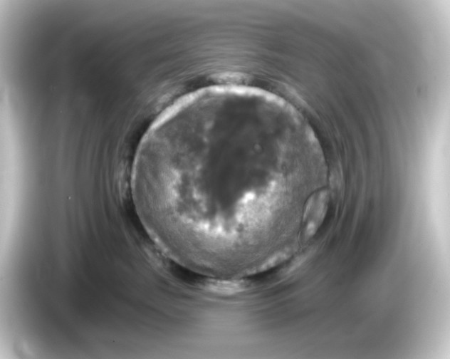 X0000084560671200703161705