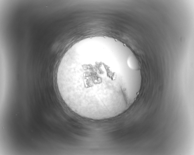 X0000084560672200703161705