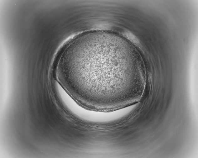 X0000084560676200703161705