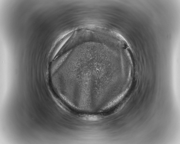 X0000084560677200703161705