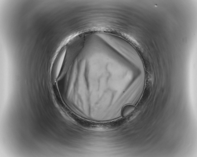 X0000084560678200703161705