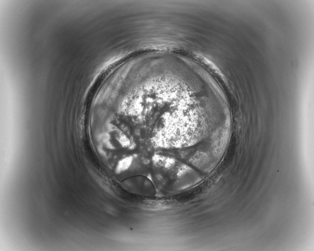 X0000084560679200703161705