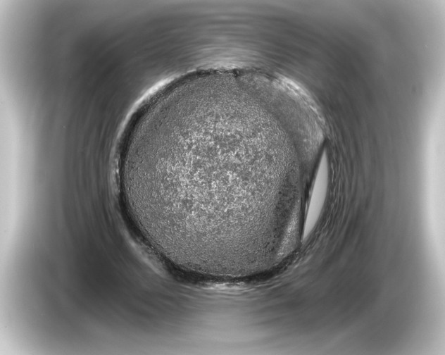 X0000084560680200703161705