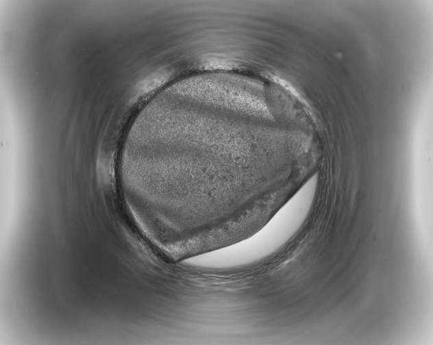 X0000084560681200703161705