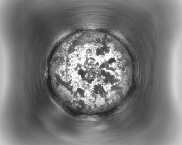 X0000084560683200703161705