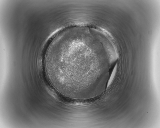 X0000084560684200703161705