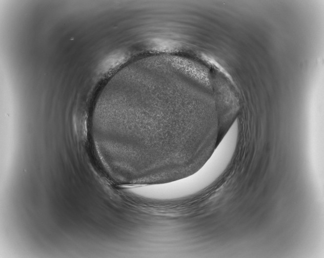 X0000084560685200703161704