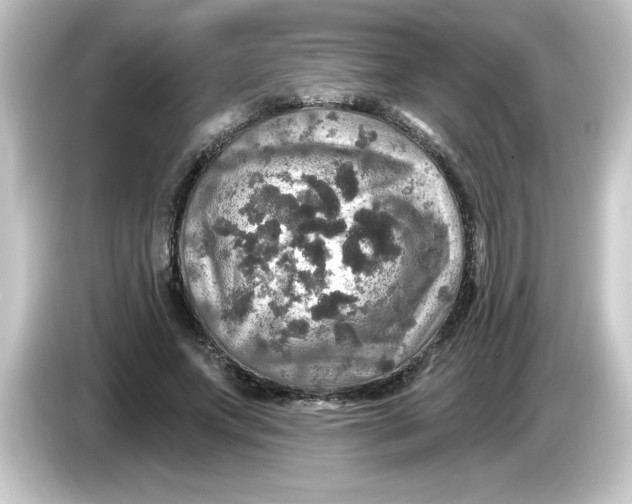 X0000084560687200703161704