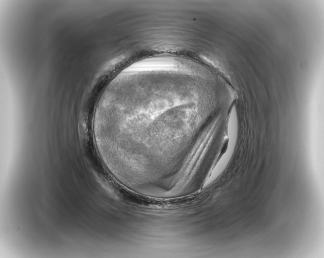 X0000084560688200703161704