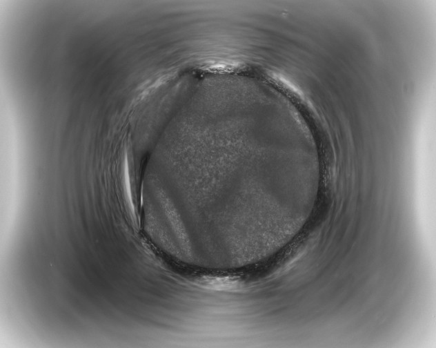 X0000084560689200703161704