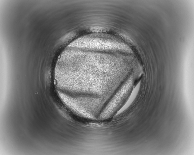 X0000084560690200703161704