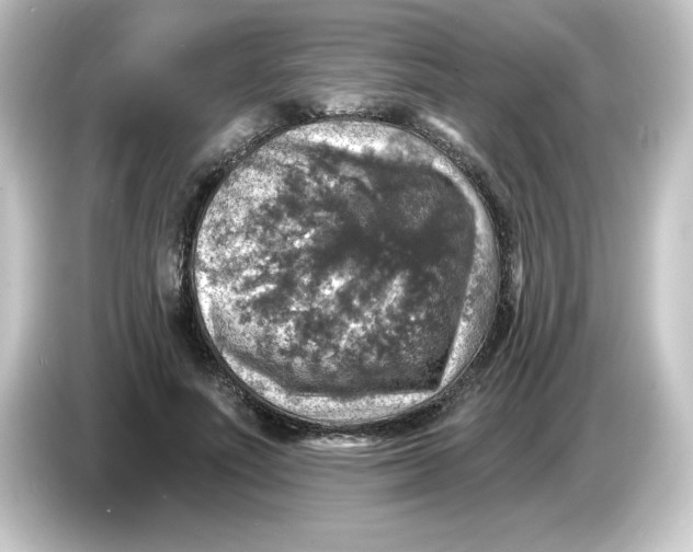 X0000084560691200703161704