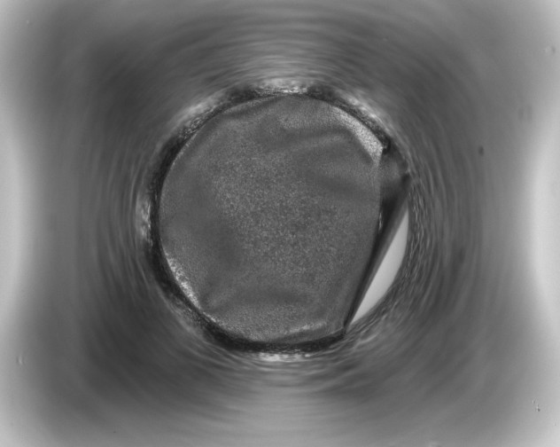 X0000084560693200703161704