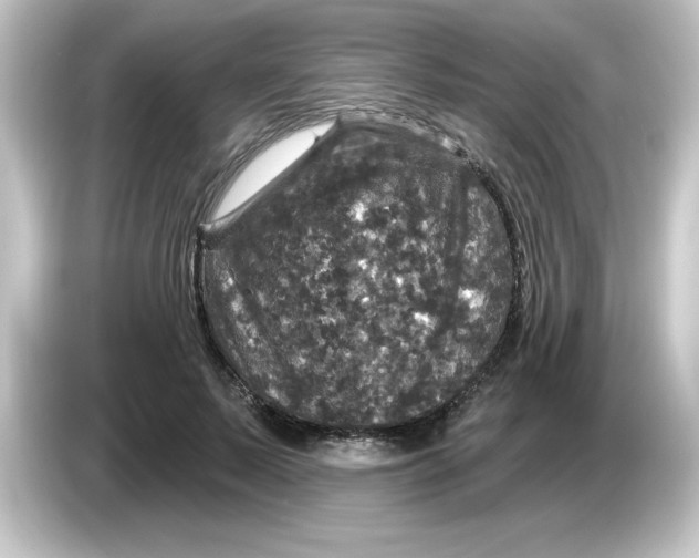 X0000084560695200703161704