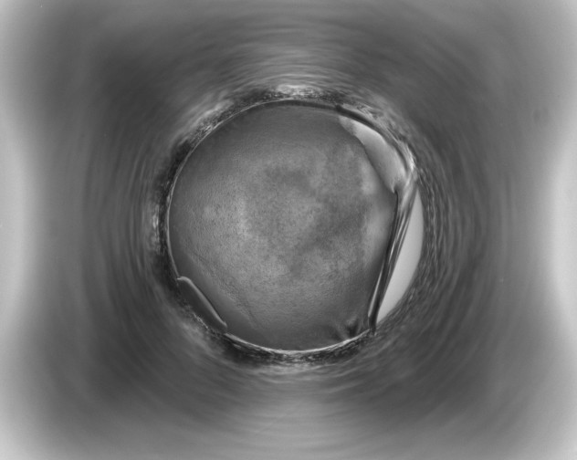 X0000084560696200703161704