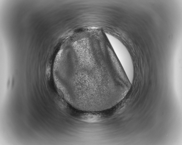 X0000084560697200703161704