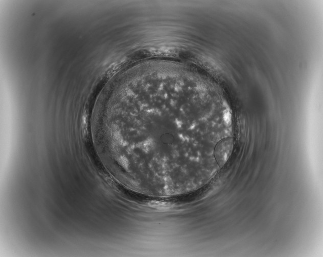 X0000084560699200703161704