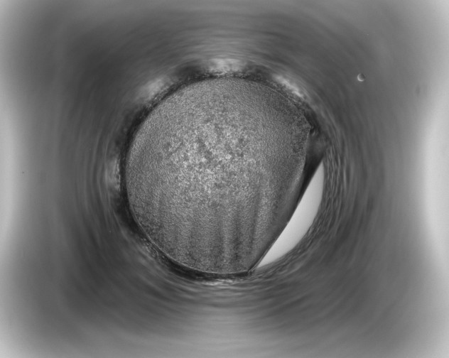 X0000084560700200703161704