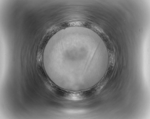 X0000084560701200703161704