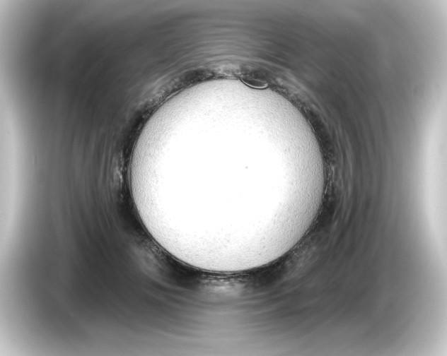 X0000084560702200703161704