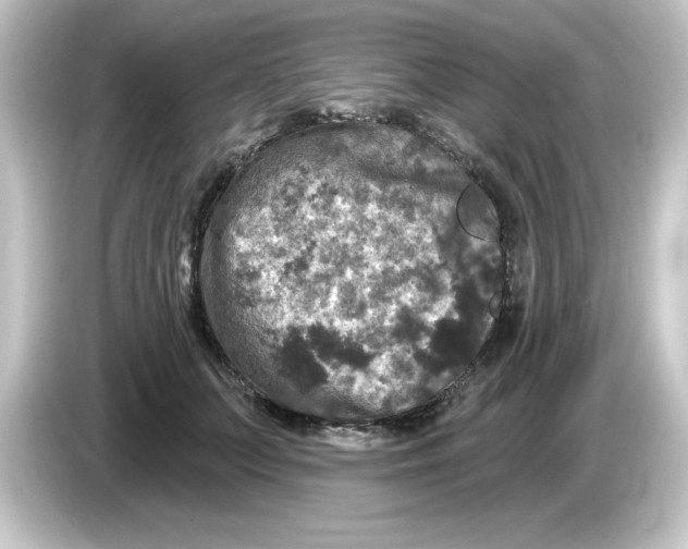 X0000084560703200703161704