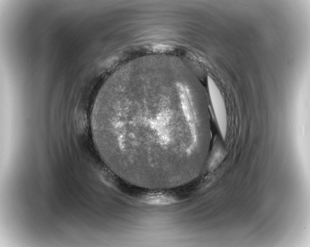 X0000084560704200703161704