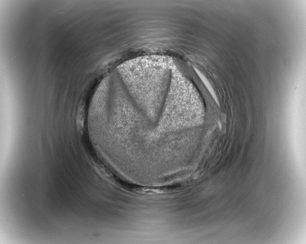 X0000084560710200703161704