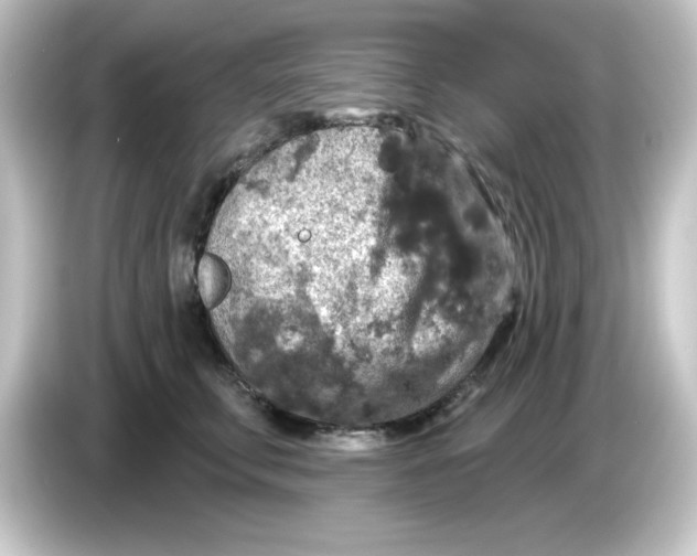 X0000084560711200703161704