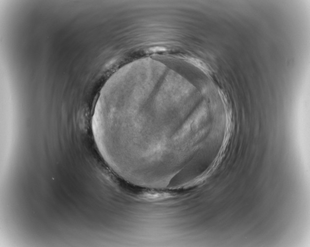 X0000084560712200703161704