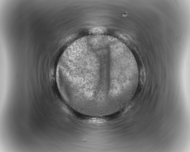 X0000084560714200703161704