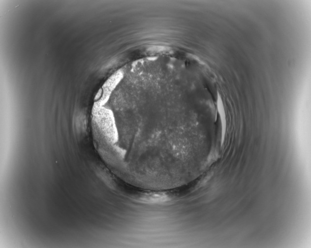 X0000084560715200703161704