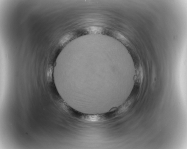 X0000084560717200703161704