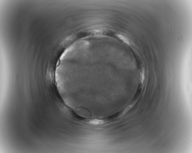 X0000084560718200703161704