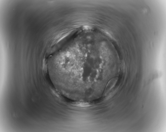 X0000084560719200703161704