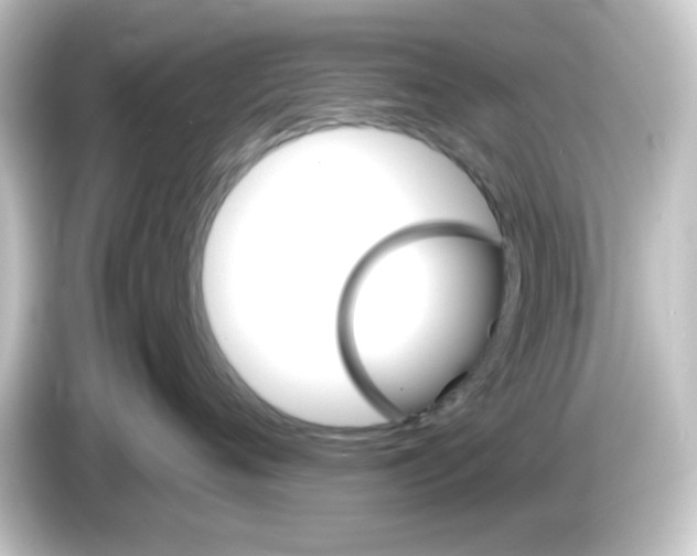 X0000084560720200703161704