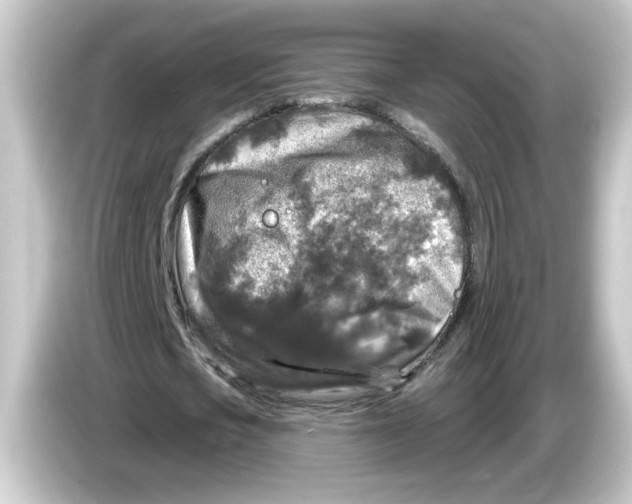 X0000084560721200703161704