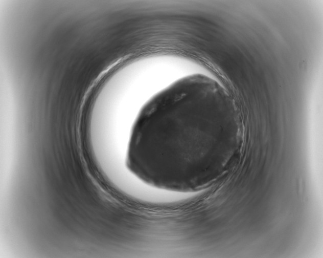 X0000084560722200703161704