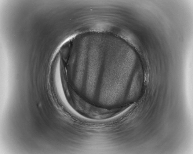 X0000084560724200703161704