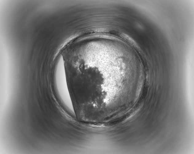 X0000084560725200703161704