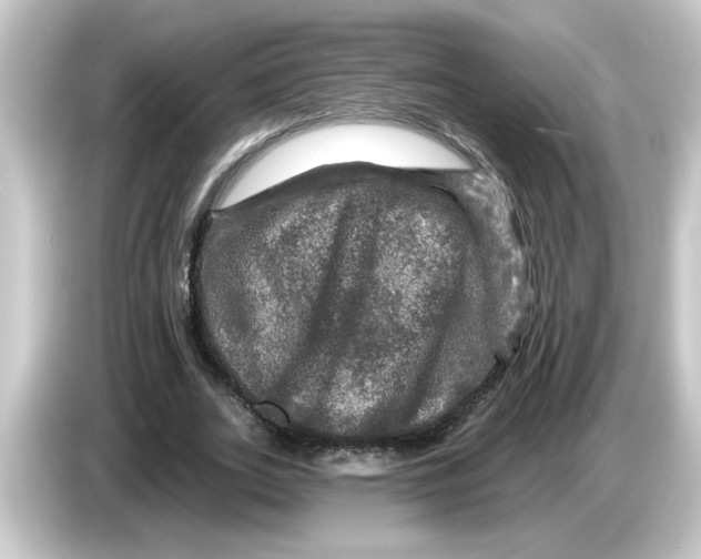 X0000084560727200703161704