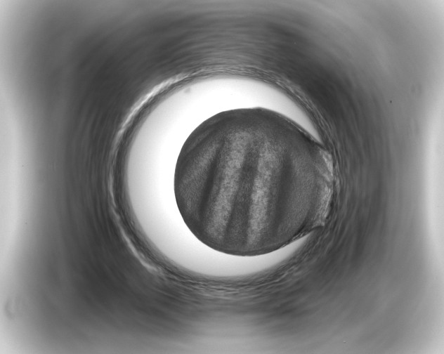 X0000084560728200703161704