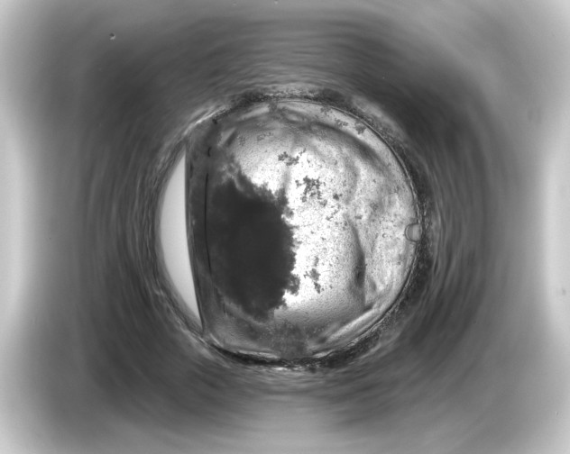 X0000084560729200703161704