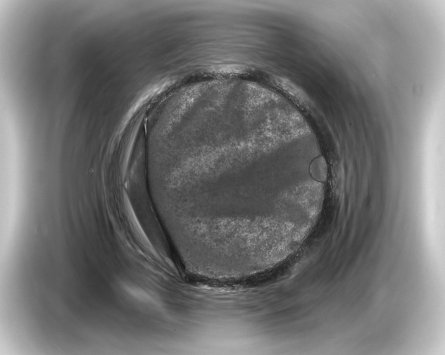 X0000084560731200703161704